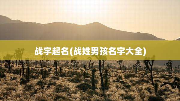战字起名(战姓男孩名字大全)