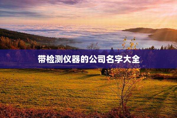 带检测仪器的公司名字大全
