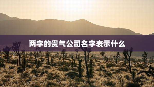 两字的贵气公司名字表示什么