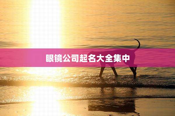眼镜公司起名大全集中
