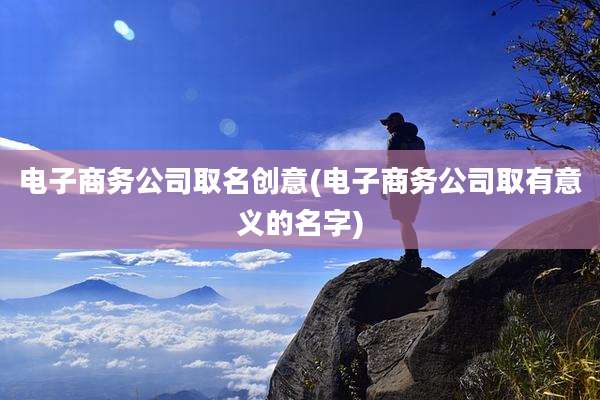电子商务公司取名创意(电子商务公司取有意义的名字)