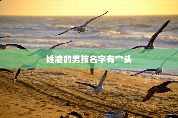 姓凌的男孩名字有宀头