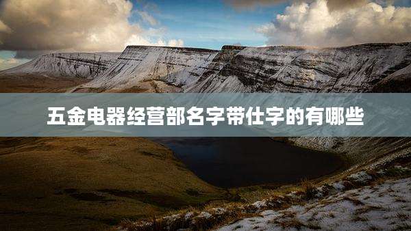 五金电器经营部名字带仕字的有哪些