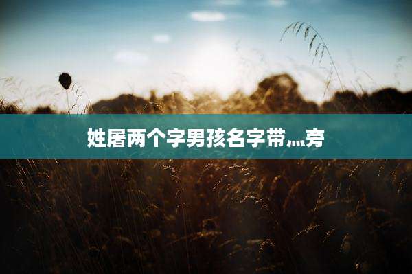 姓屠两个字男孩名字带灬旁