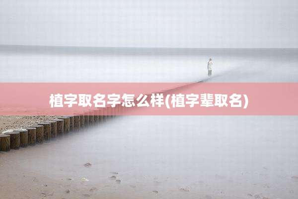 植字取名字怎么样(植字辈取名)