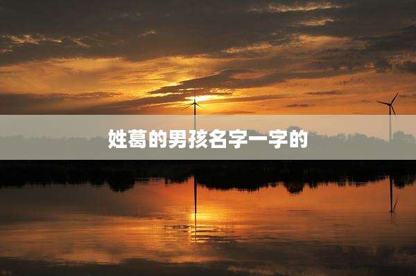 姓葛的男孩名字一字的