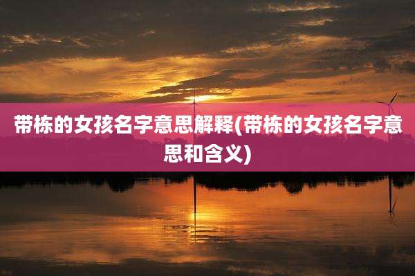 带栋的女孩名字意思解释(带栋的女孩名字意思和含义)