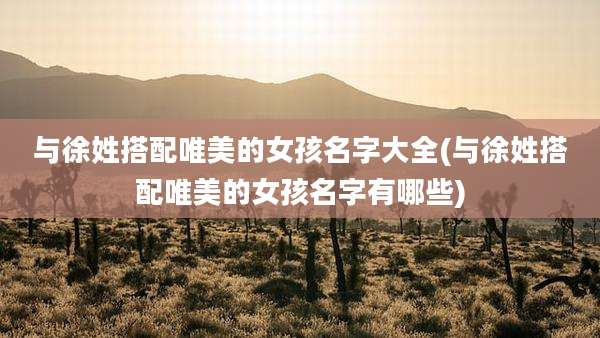 与徐姓搭配唯美的女孩名字大全(与徐姓搭配唯美的女孩名字有哪些)