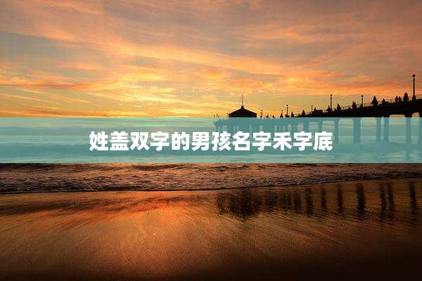 姓盖双字的男孩名字禾字底