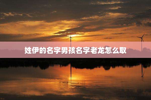 姓伊的名字男孩名字老龙怎么取