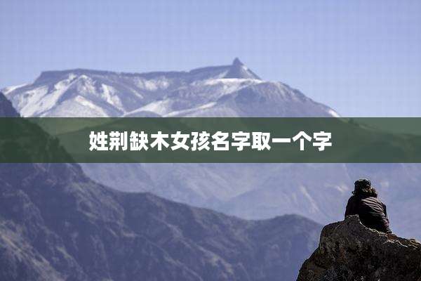 姓荆缺木女孩名字取一个字