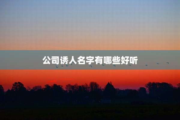 公司诱人名字有哪些好听