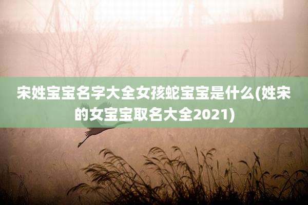 宋姓宝宝名字大全女孩蛇宝宝是什么(姓宋的女宝宝取名大全2021)