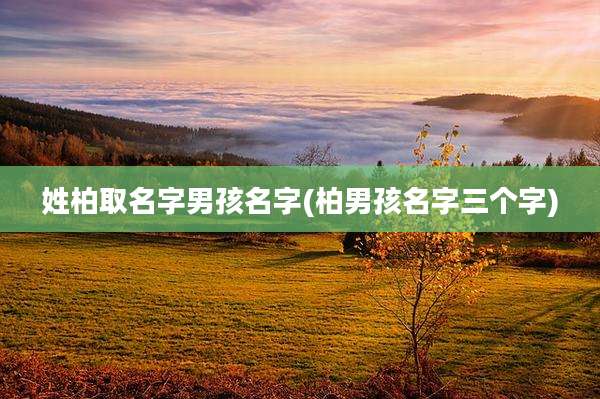 姓柏取名字男孩名字(柏男孩名字三个字)