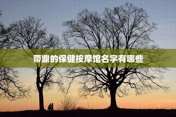 带鼎的保健按摩馆名字有哪些