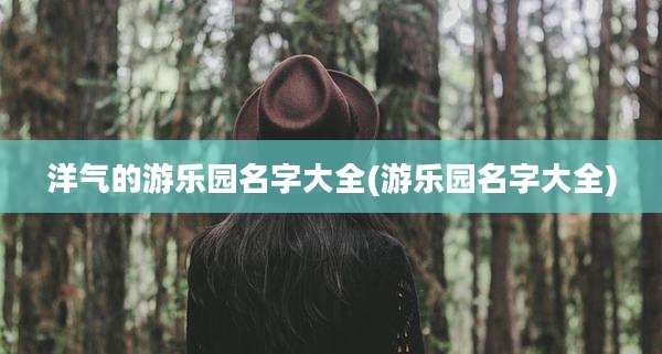 洋气的游乐园名字大全(游乐园名字大全)