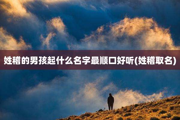姓稽的男孩起什么名字最顺口好听(姓稽取名)