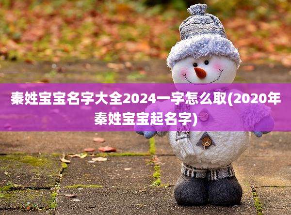 秦姓宝宝名字大全2024一字怎么取(2020年秦姓宝宝起名字)