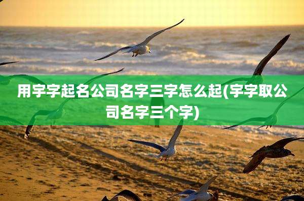 用宇字起名公司名字三字怎么起(宇字取公司名字三个字)