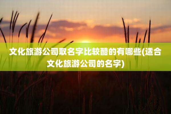 文化旅游公司取名字比较酷的有哪些(适合文化旅游公司的名字)