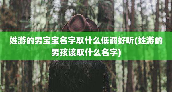 姓游的男宝宝名字取什么低调好听(姓游的男孩该取什么名字)