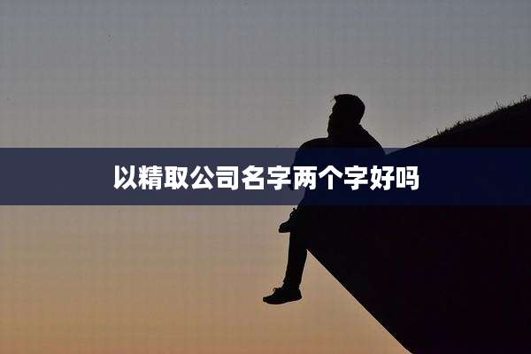 以精取公司名字两个字好吗