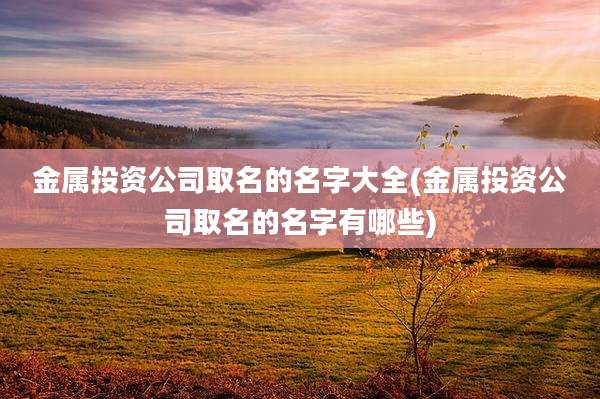 金属投资公司取名的名字大全(金属投资公司取名的名字有哪些)