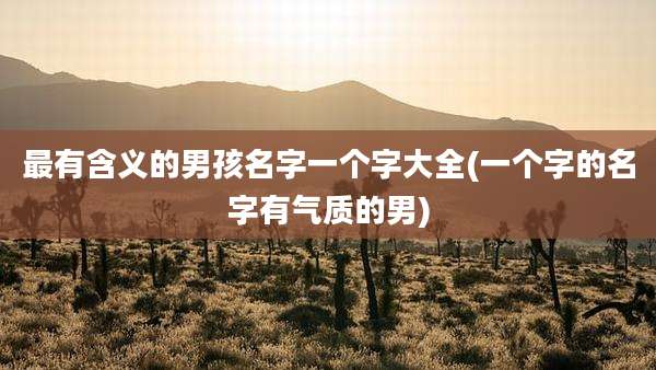 最有含义的男孩名字一个字大全(一个字的名字有气质的男)