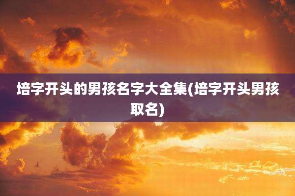 培字开头的男孩名字大全集(培字开头男孩取名)