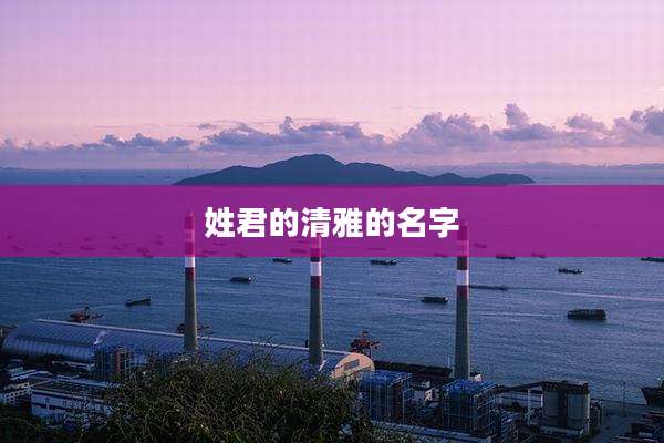 姓君的清雅的名字