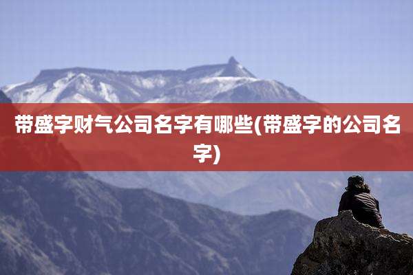 带盛字财气公司名字有哪些(带盛字的公司名字)