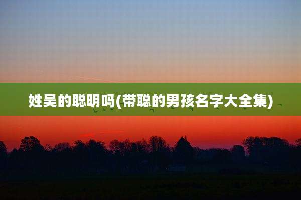 姓吴的聪明吗(带聪的男孩名字大全集)