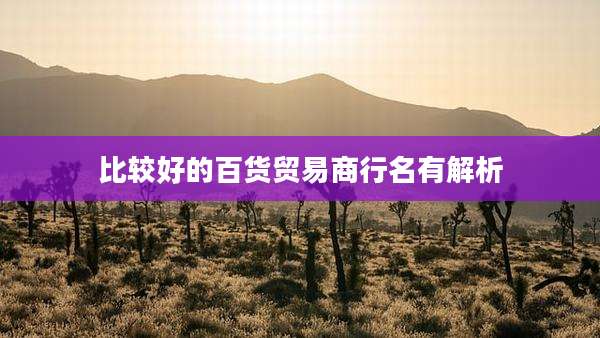 比较好的百货贸易商行名有解析