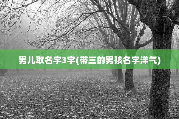 男儿取名字3字(带三的男孩名字洋气)