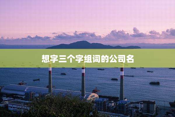 想字三个字组词的公司名