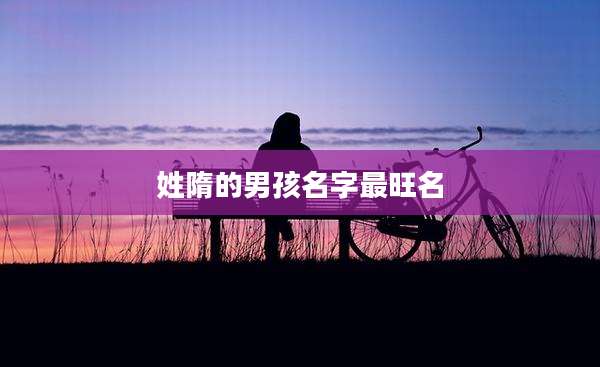 姓隋的男孩名字最旺名
