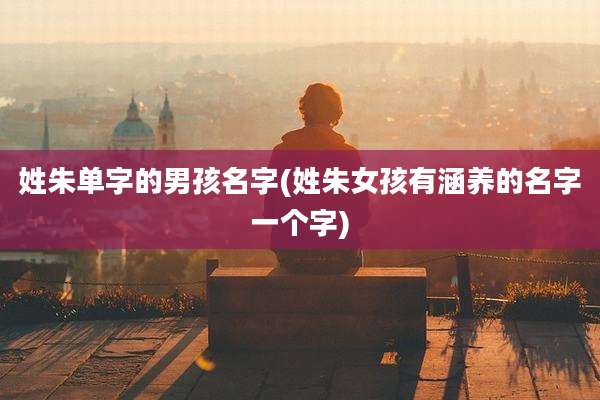 姓朱单字的男孩名字(姓朱女孩有涵养的名字一个字)