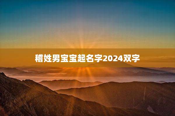 稽姓男宝宝起名字2024双字