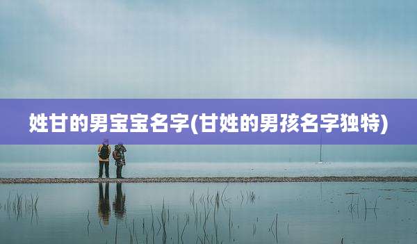 姓甘的男宝宝名字(甘姓的男孩名字独特)