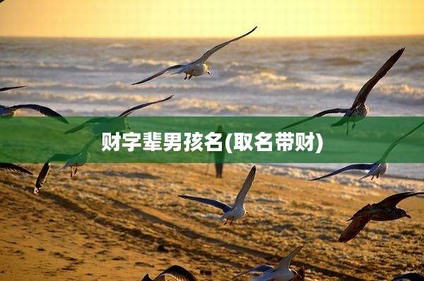 财字辈男孩名(取名带财)