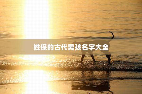 姓保的古代男孩名字大全