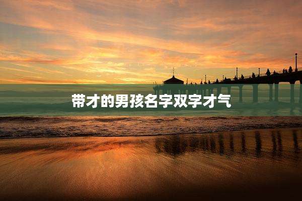 带才的男孩名字双字才气