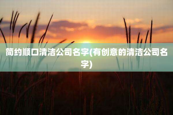 简约顺口清洁公司名字(有创意的清洁公司名字)