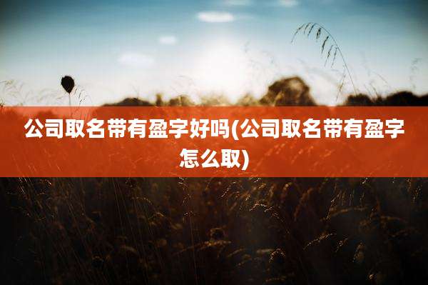 公司取名带有盈字好吗(公司取名带有盈字怎么取)