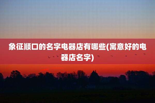 象征顺口的名字电器店有哪些(寓意好的电器店名字)