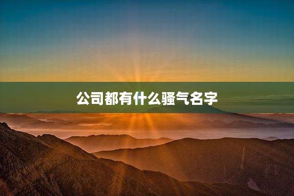 公司都有什么骚气名字