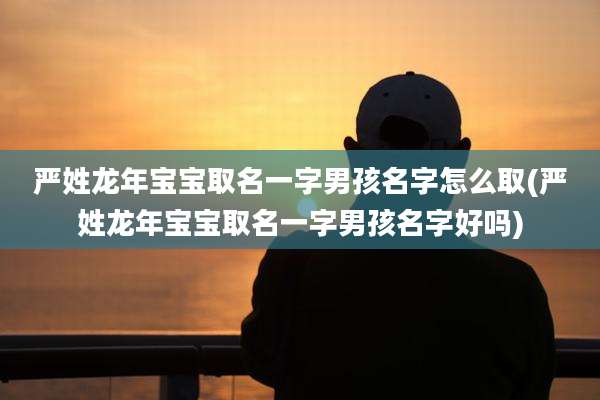 严姓龙年宝宝取名一字男孩名字怎么取(严姓龙年宝宝取名一字男孩名字好吗)