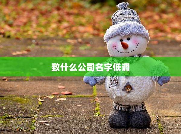 致什么公司名字低调