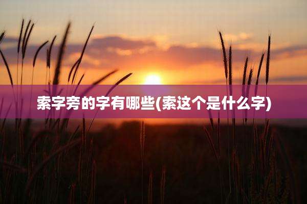索字旁的字有哪些(索这个是什么字)