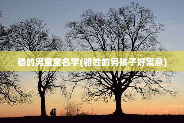 骆的男宝宝名字(骆姓的男孩子好寓意)